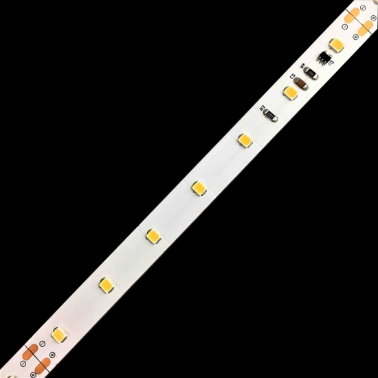 10786_1.webp