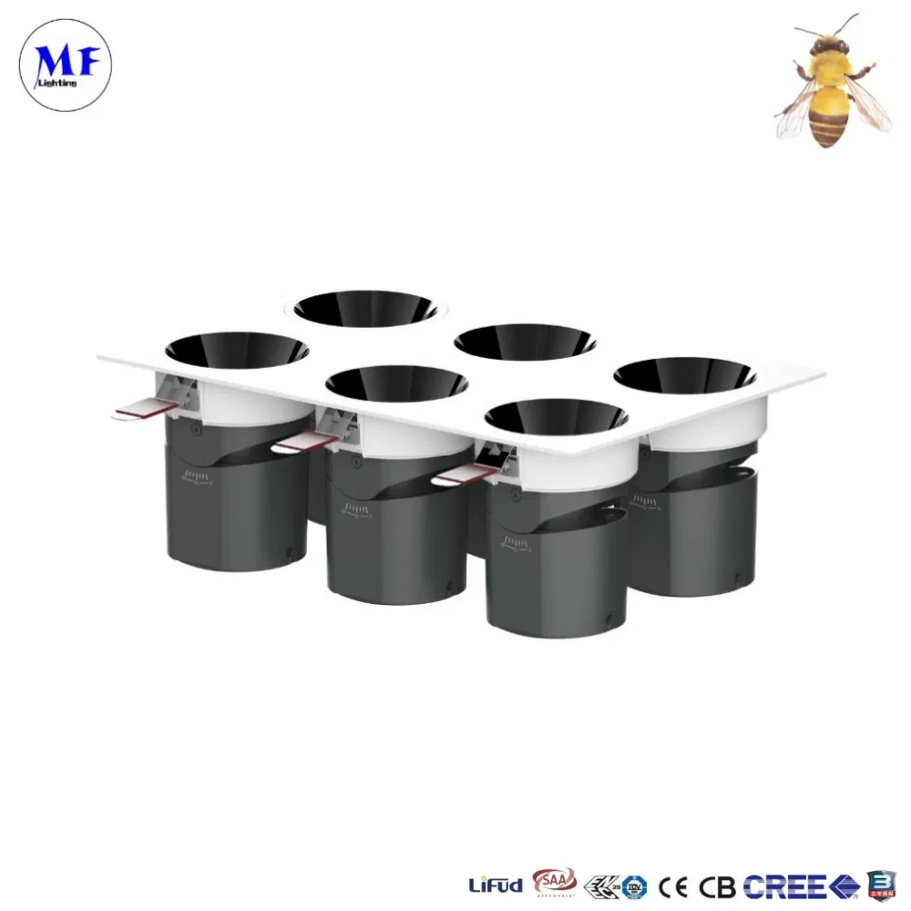 1110_1.webp