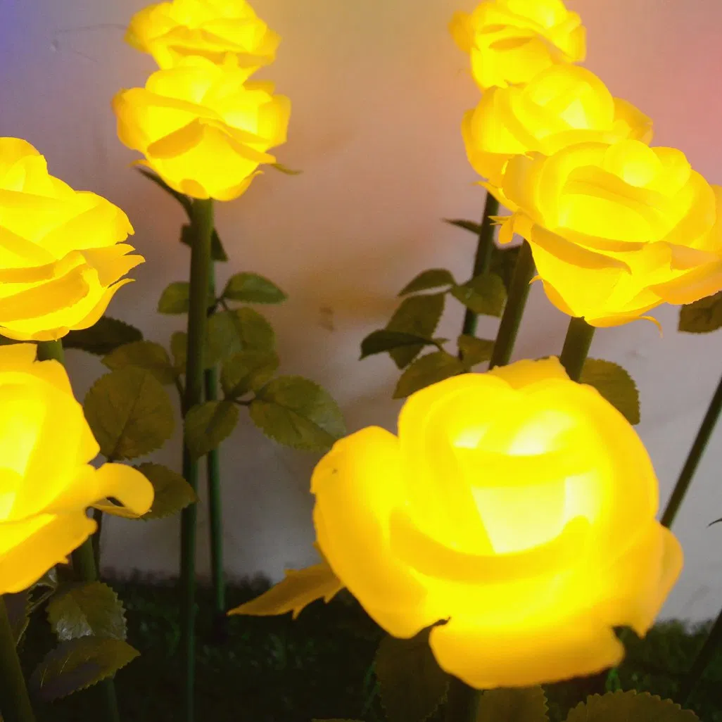 11448_1.webp