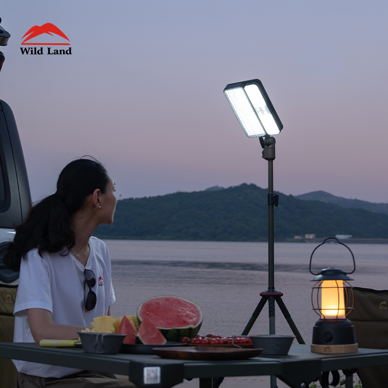 12235_1.webp