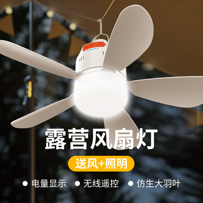 12236_1.webp