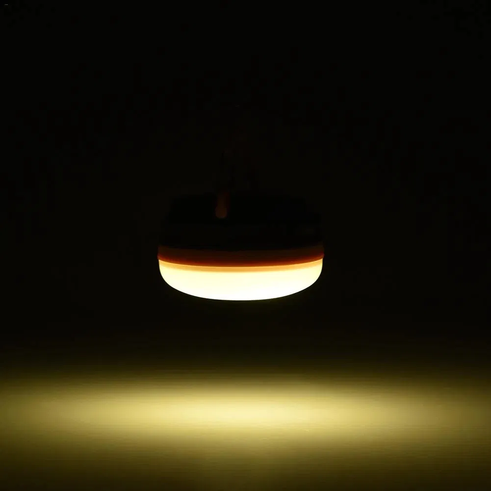 12366_1.webp