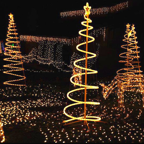 12389_1.webp