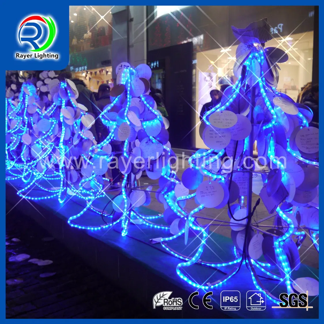 12444_1.webp