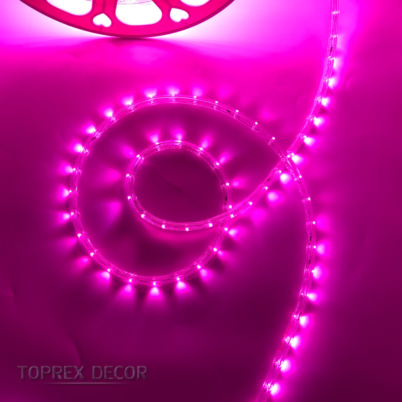 12505_1.webp