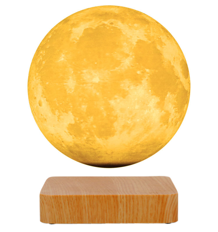 12560_1.webp