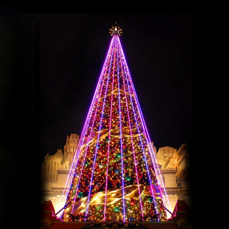 12565_1.webp