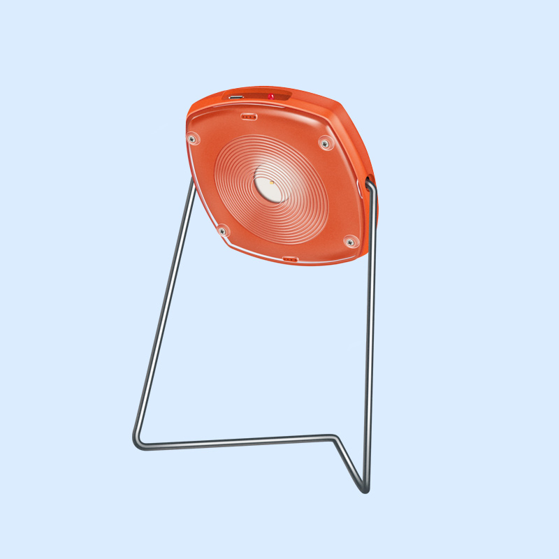12727_1.webp