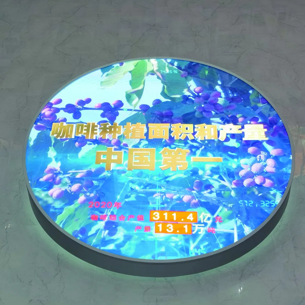 13289_1.webp