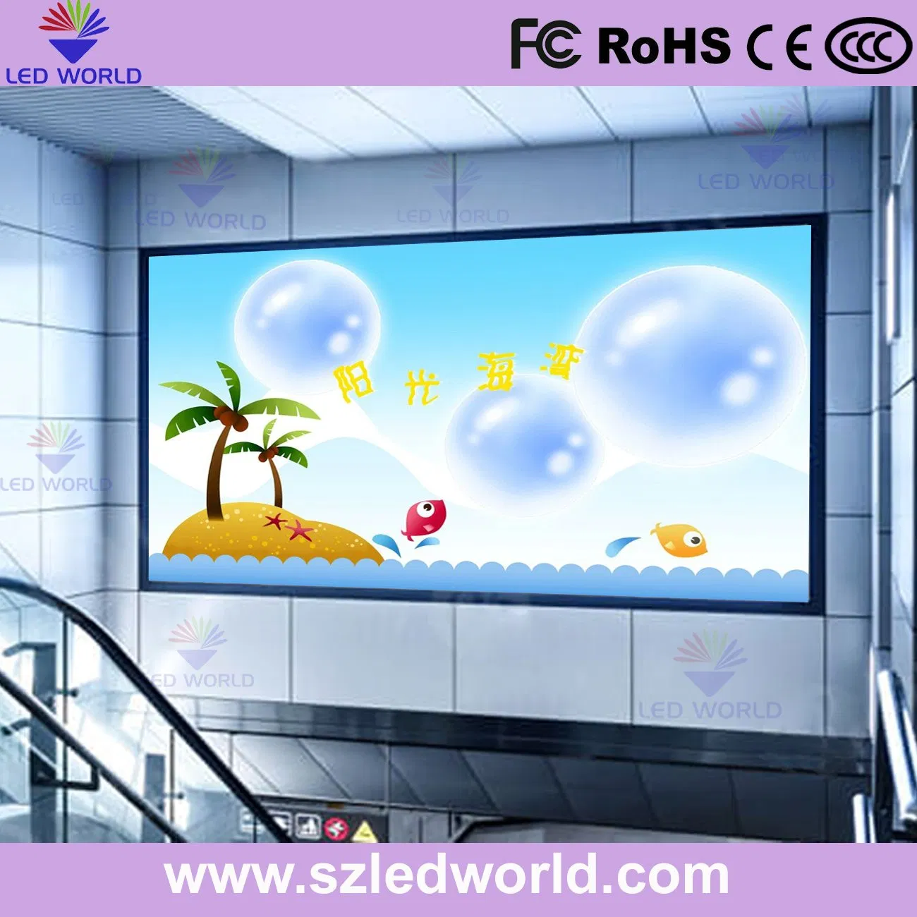 13428_1.webp