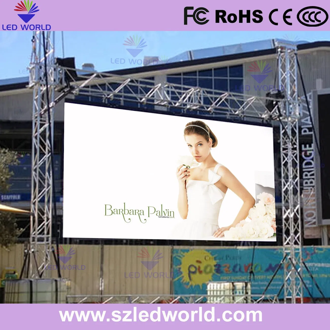 13754_1.webp