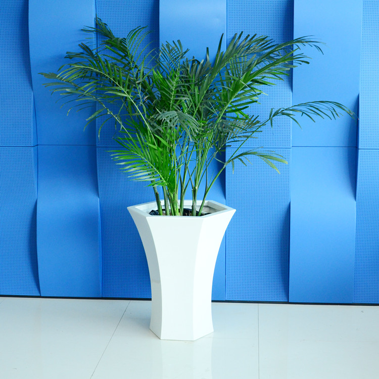 14176_1.webp