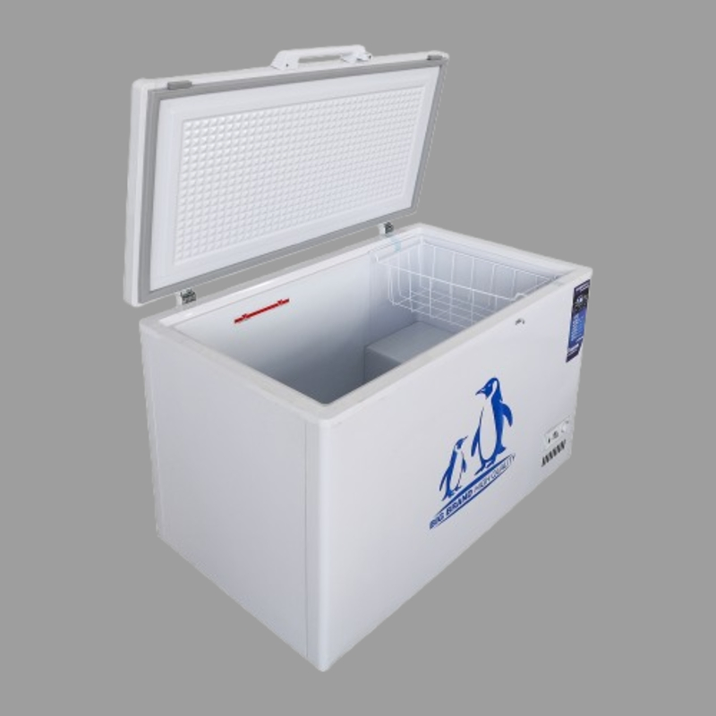 16349_1.webp