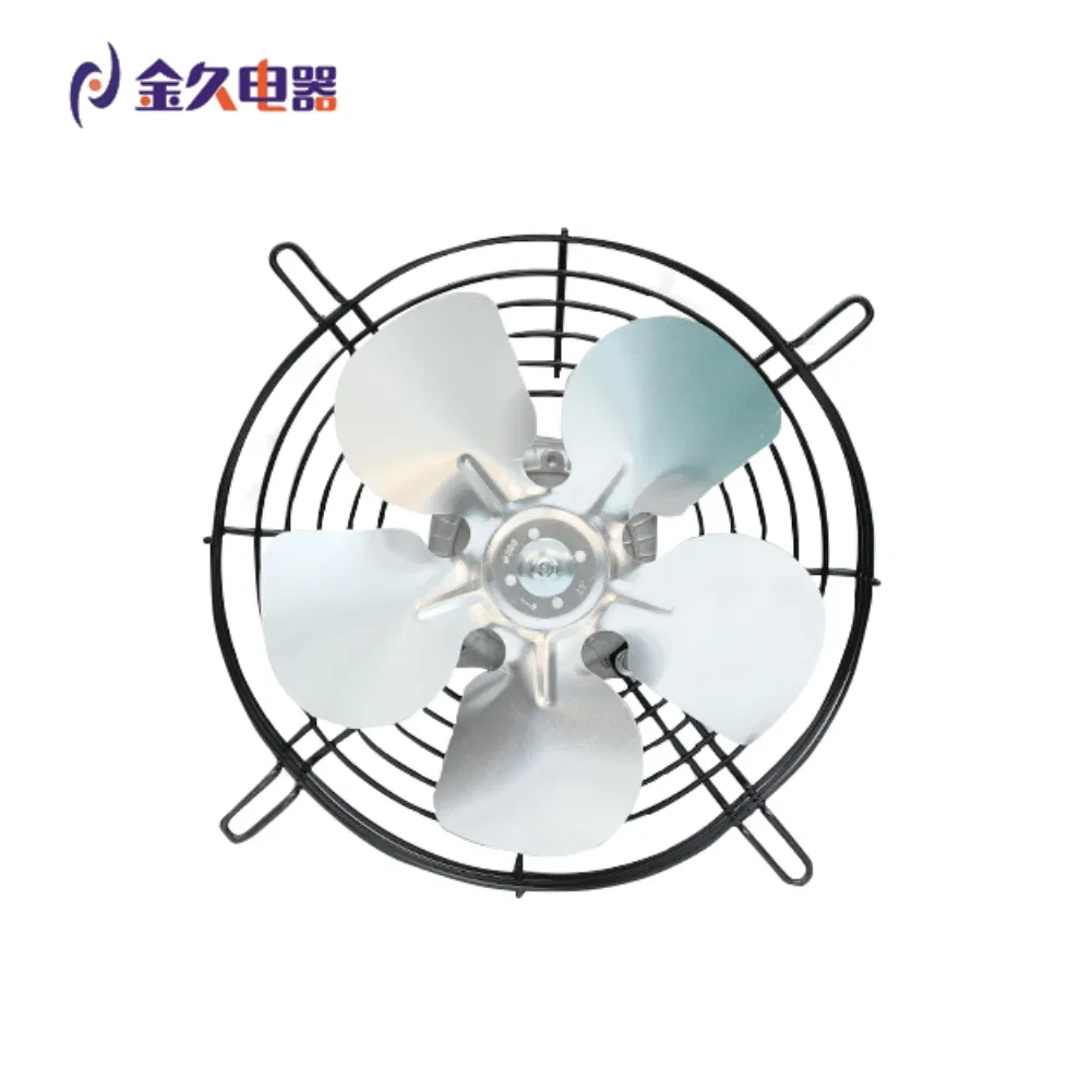 16898_1.webp