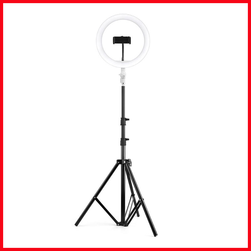 1862_1.webp