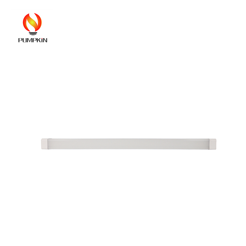 2437_1.webp