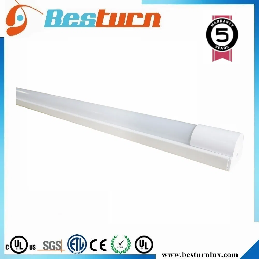 2464_1.webp