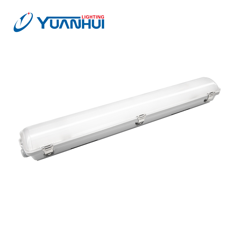 2470_1.webp