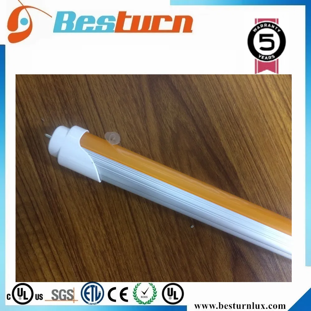 2537_1.webp