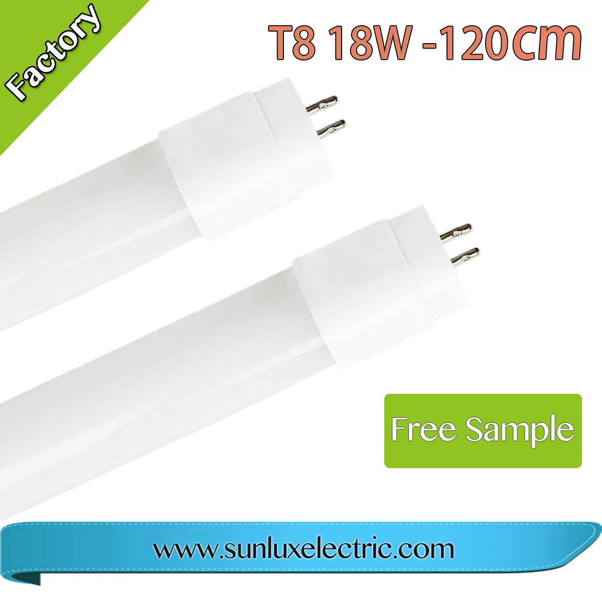 2584_1.webp