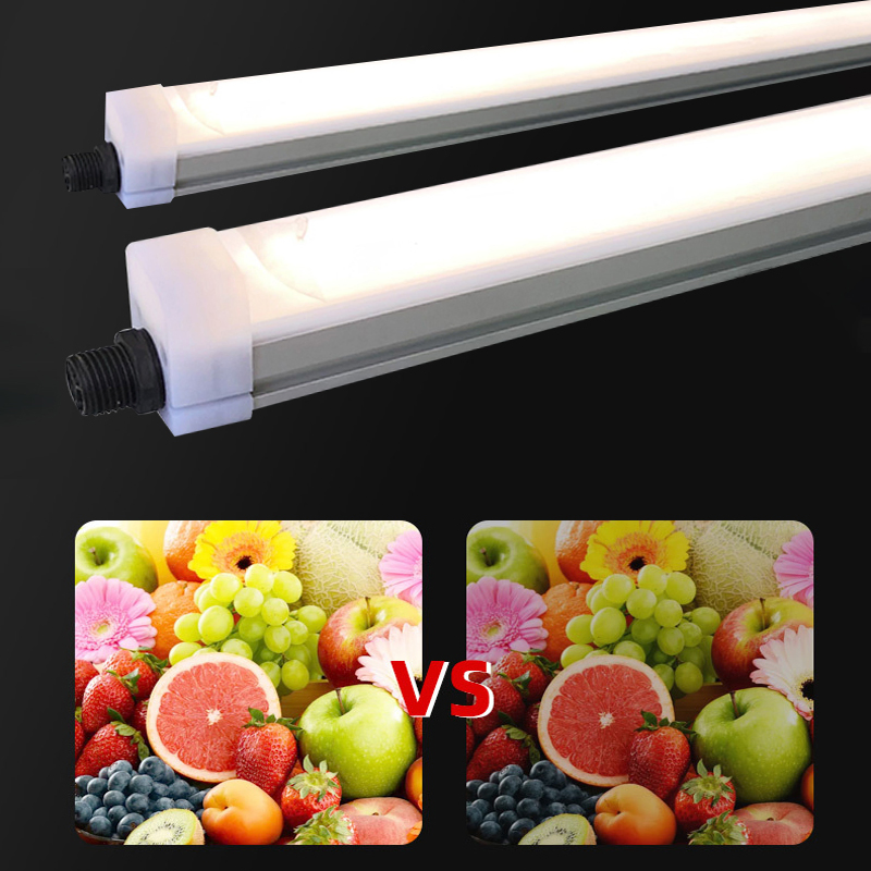 2600_1.webp