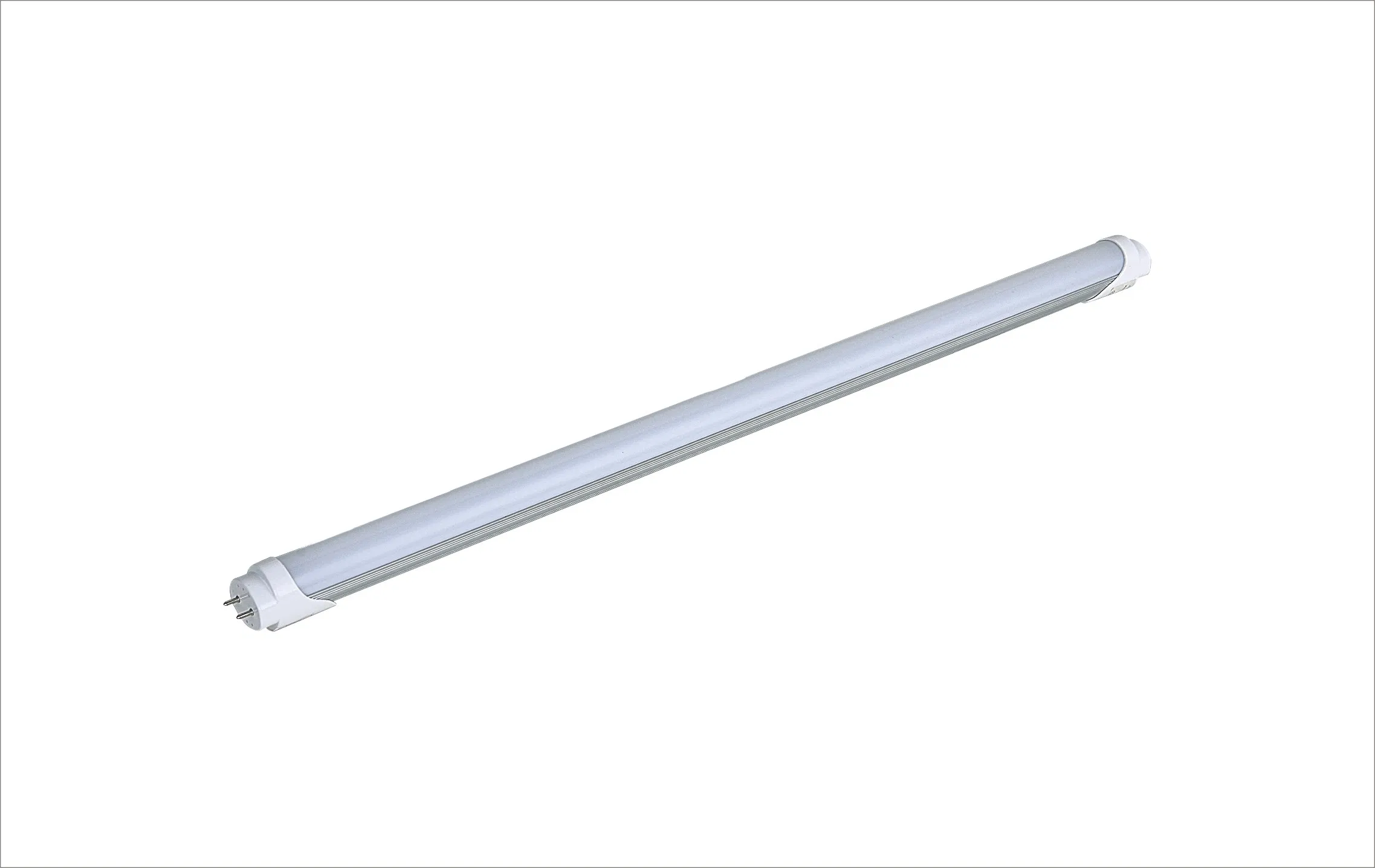 2667_1.webp