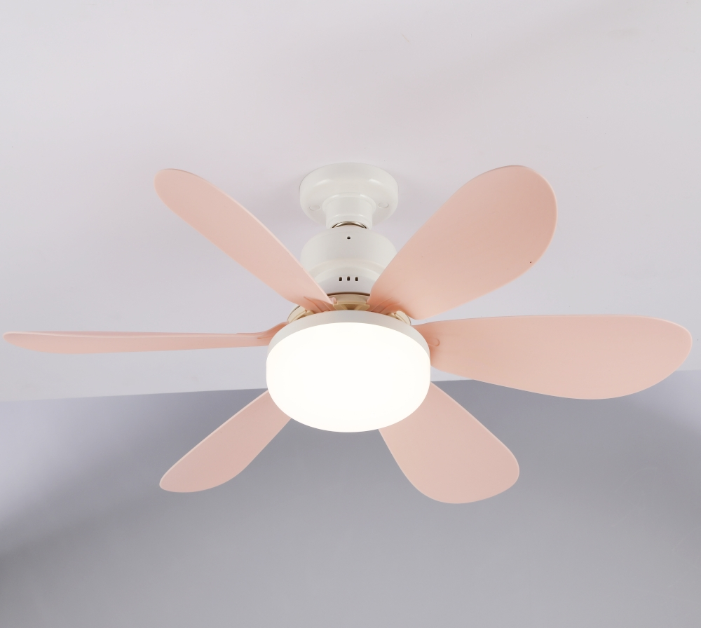 3196_1.webp