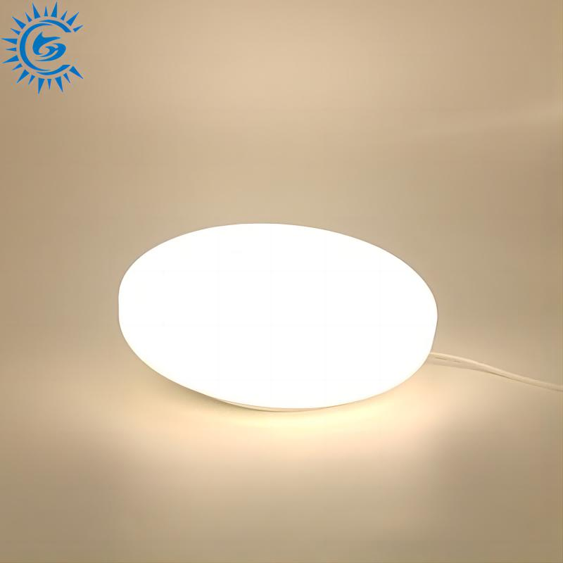 3289_1.webp