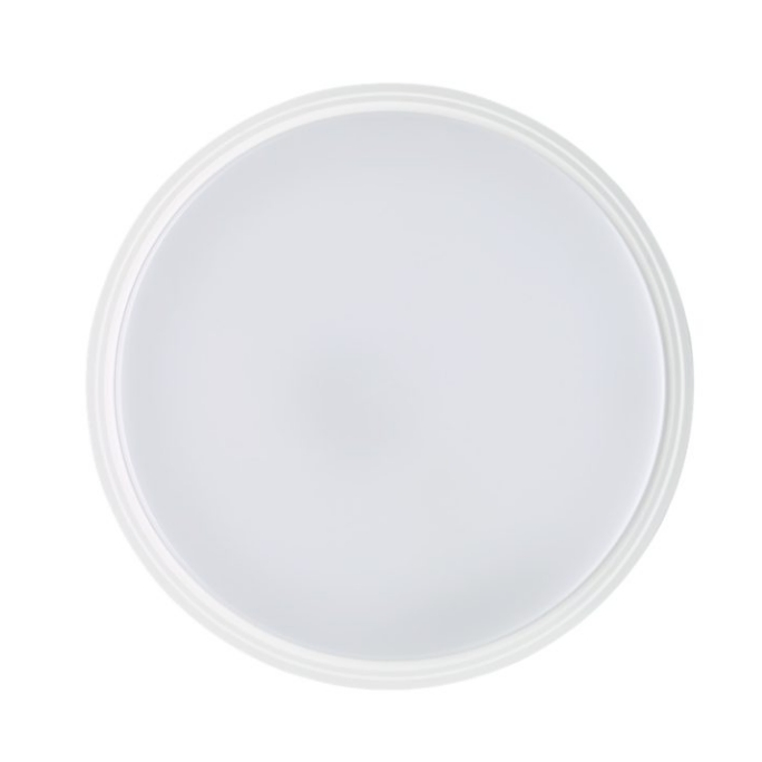 3497_1.webp