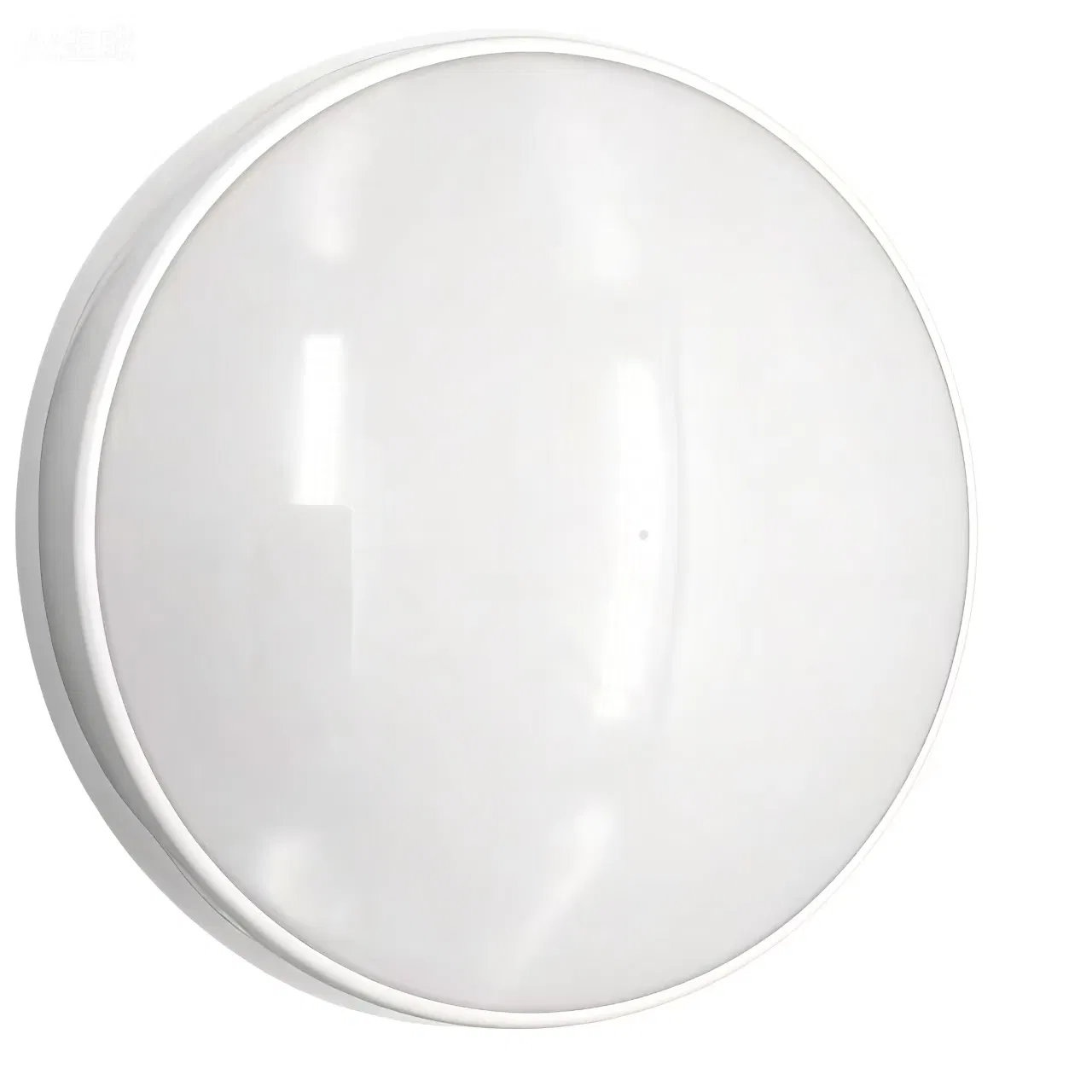 3572_1.webp