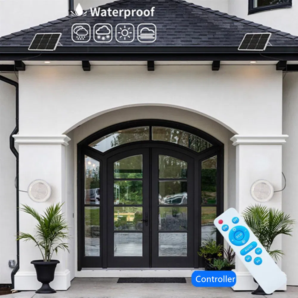 3685_1.webp