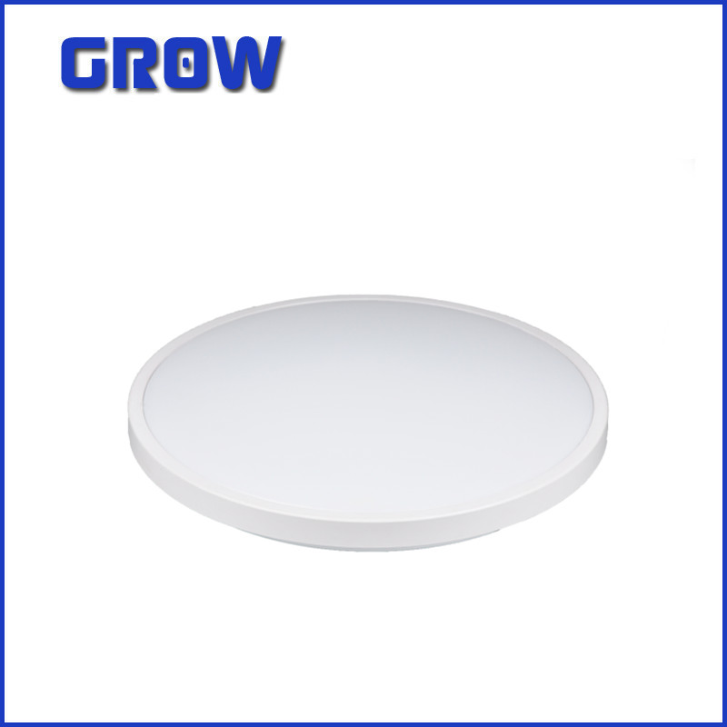 3694_1.webp