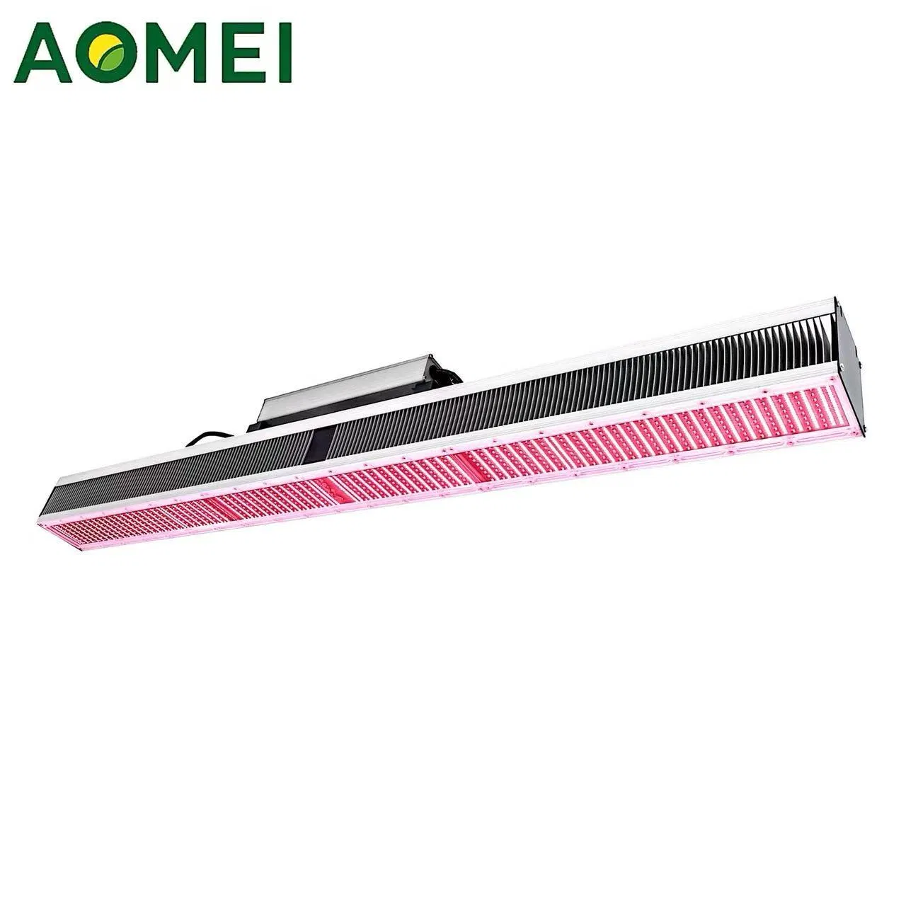 4866_1.webp