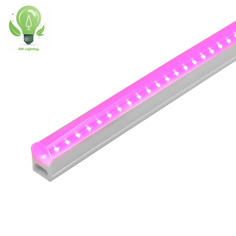 5140_1.webp
