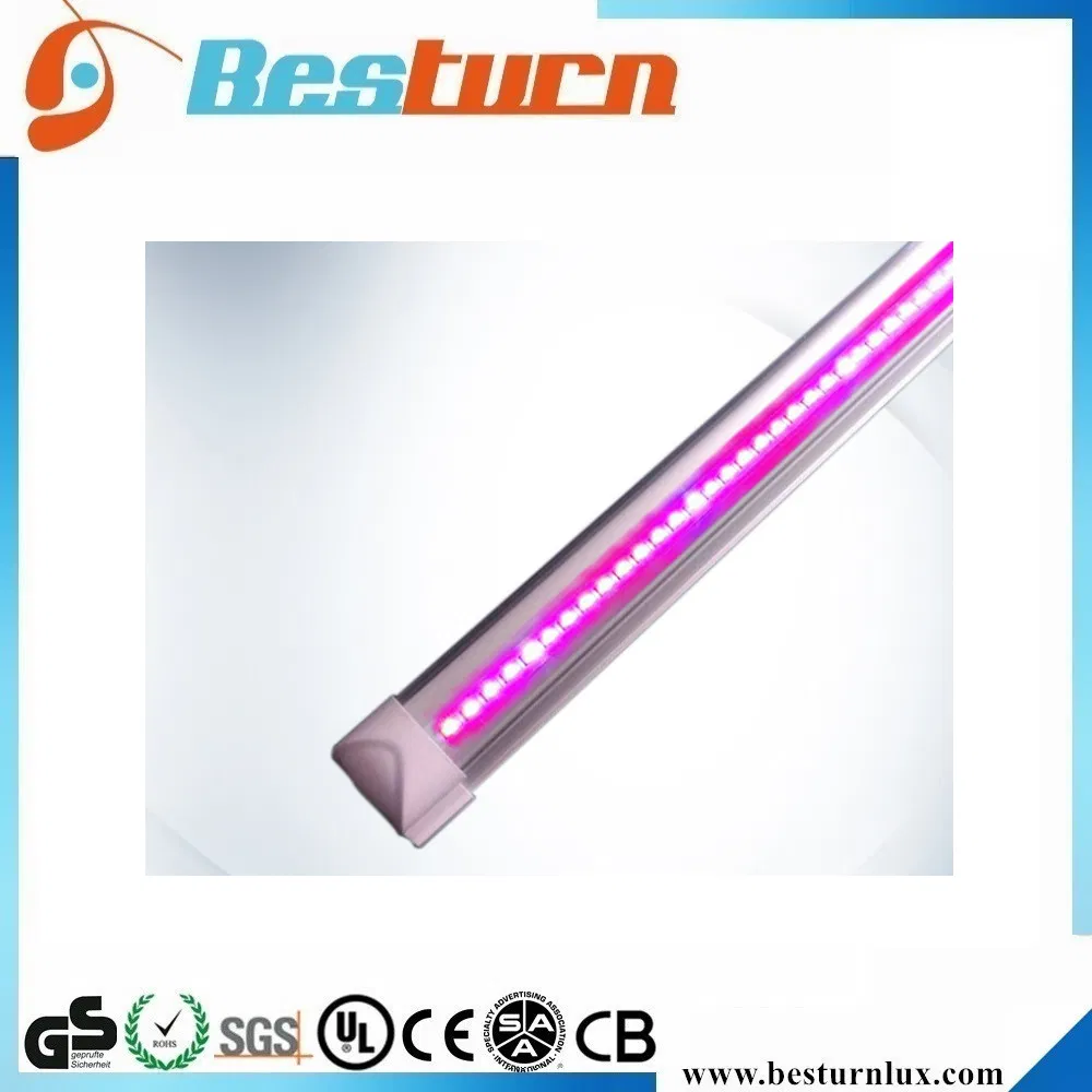 5261_1.webp