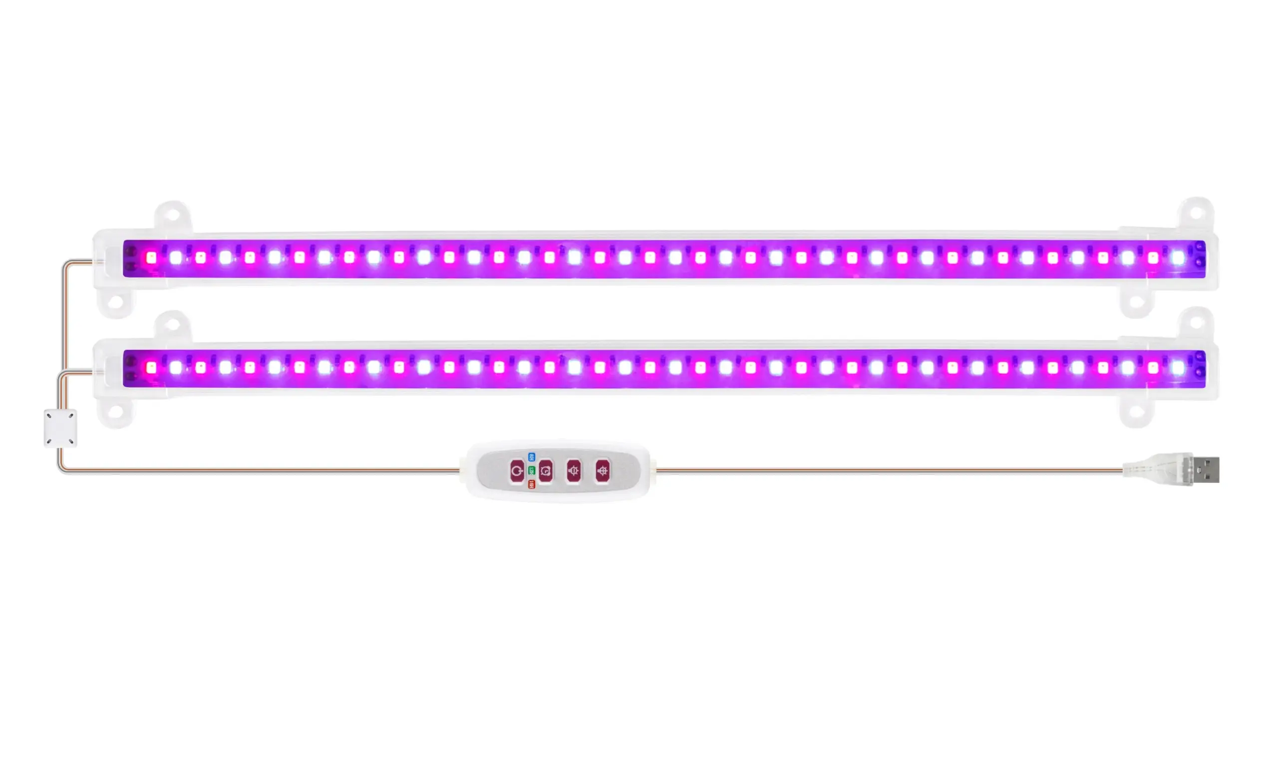 5429_1.webp