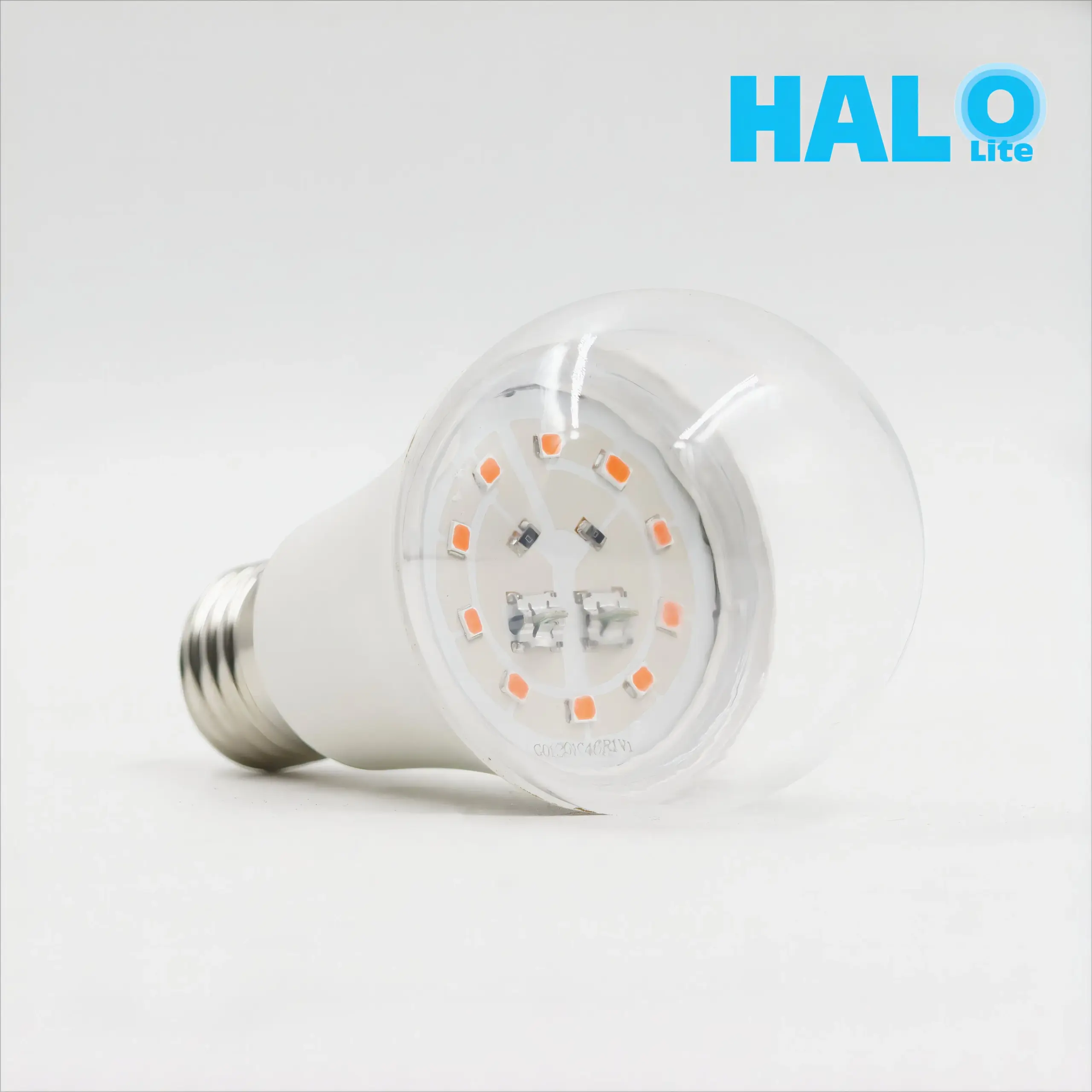 5476_1.webp