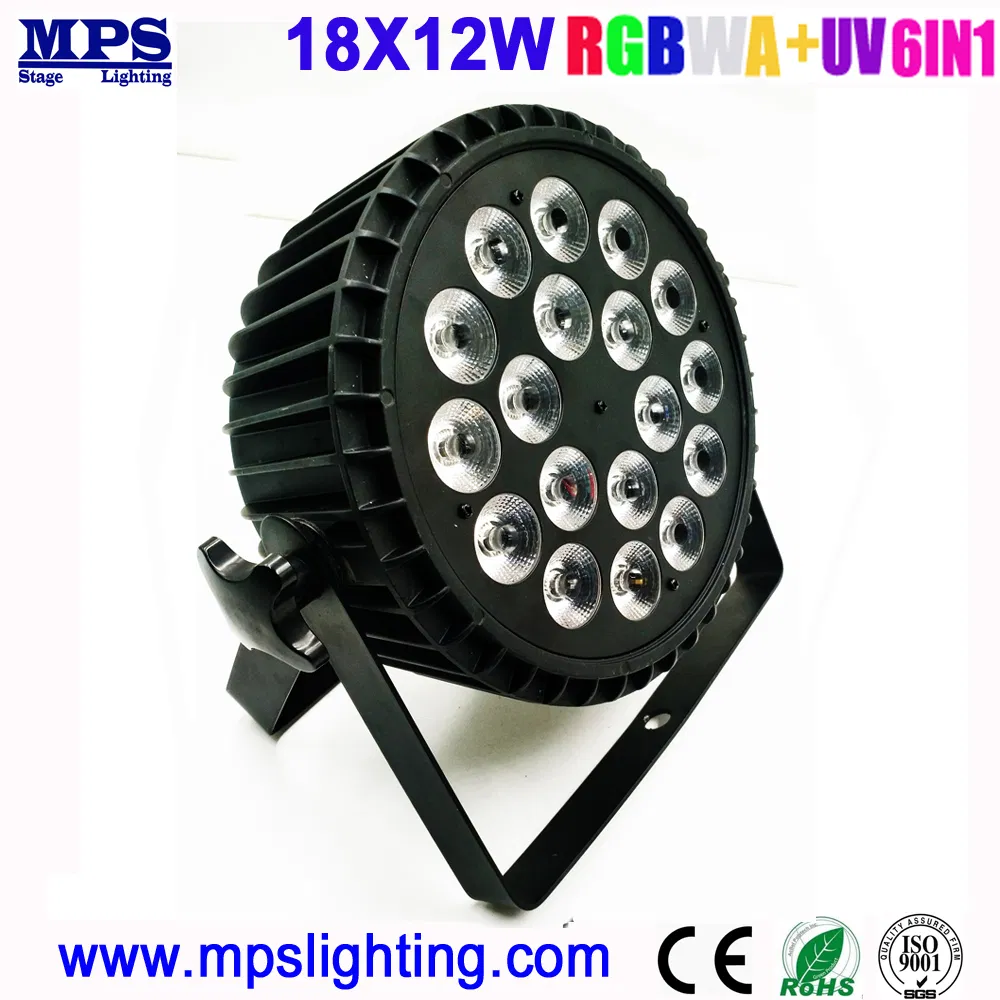 7028_1.webp