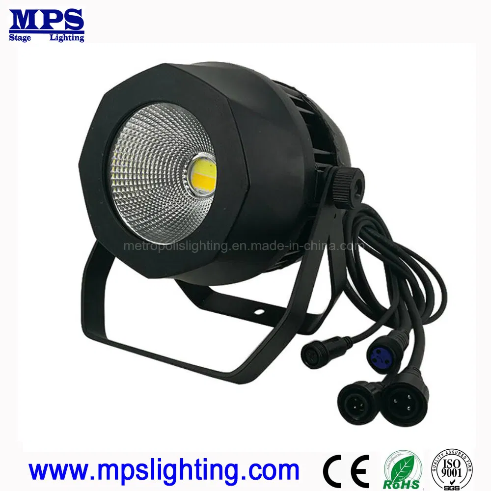 7435_1.webp