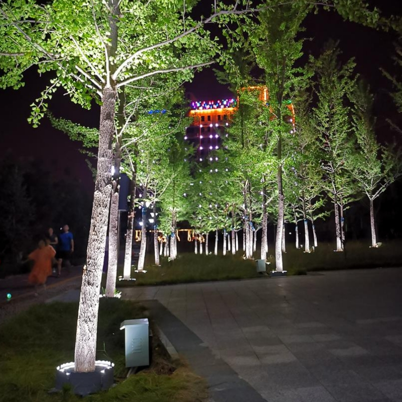 7901_1.webp