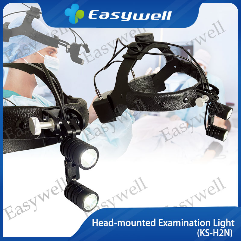 7987_1.webp