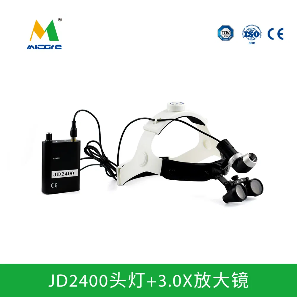 8116_1.webp