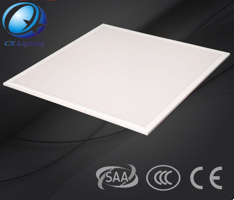811_1.webp
