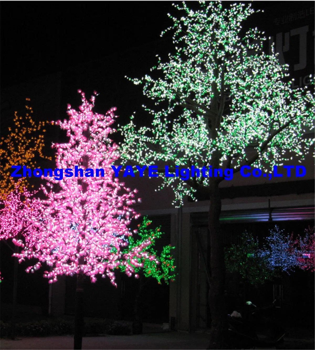 8719_1.webp