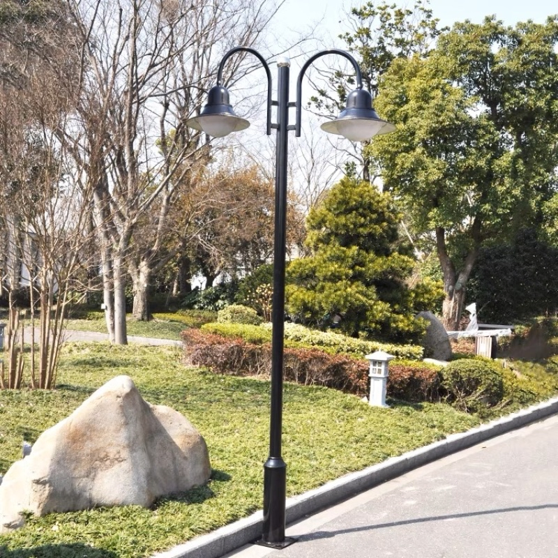 8885_1.webp