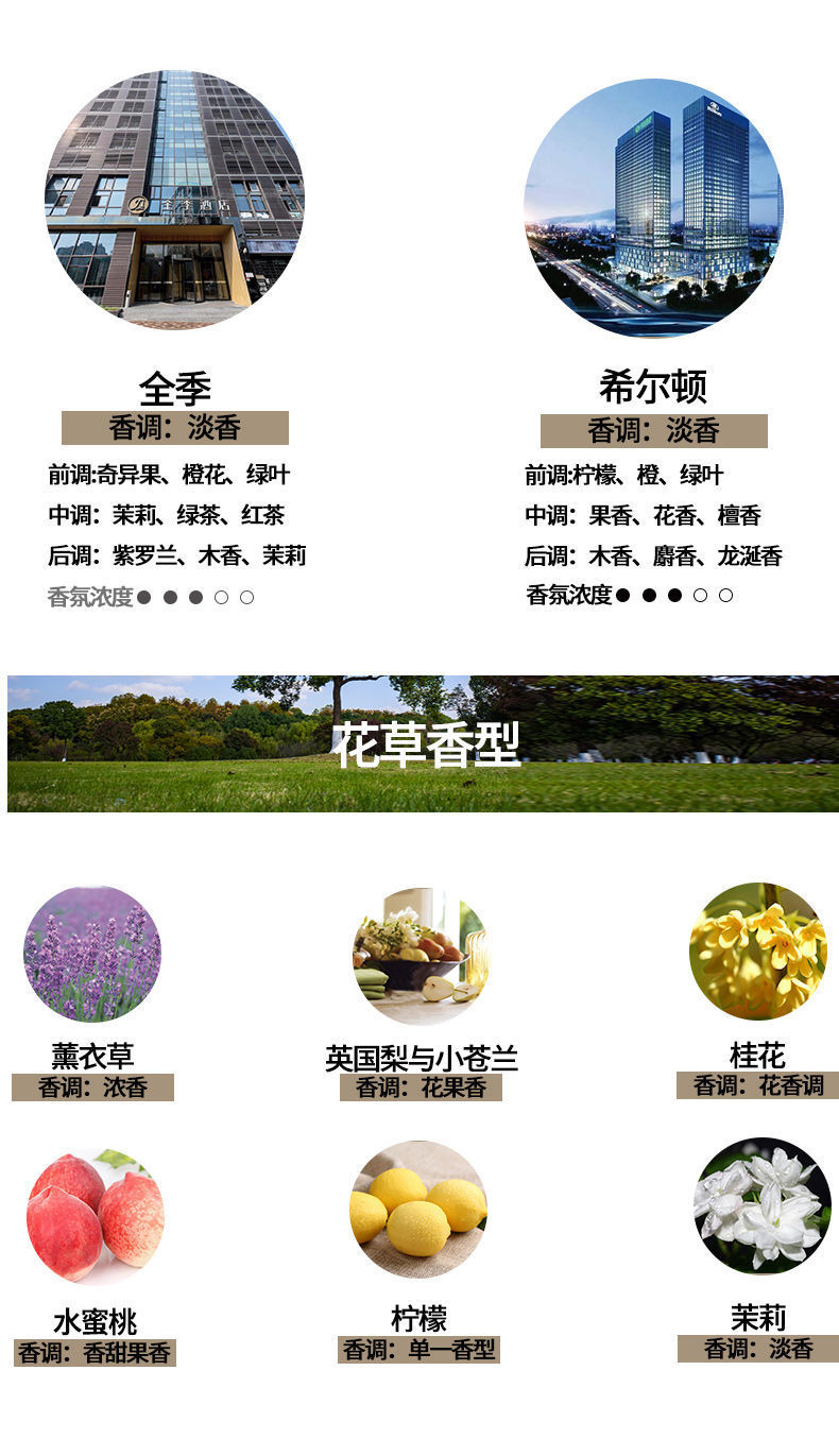 20ML Aromatherapy Essential Oil Humidifier Aromatherapy Machine Dedicated Lavender Bedroom Long lasting Room Fragrance Stone Essential Oil