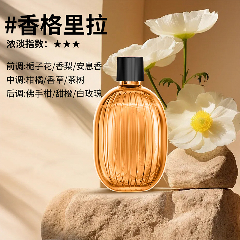 Intelligent Aromatherapy Machine, Automatic Spray Aromatherapy Machine, Expanded Aromatherapy Machine, Wall mounted Aromatherapy Machine, Home Premium Sensory Intelligent Plug in Aromatherapy Machine