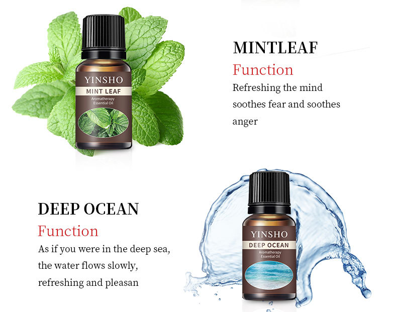 Cross border essential oil Oil soluble rose mint essential oil Air fresh fragrance expanding gypsum perfume essential oil