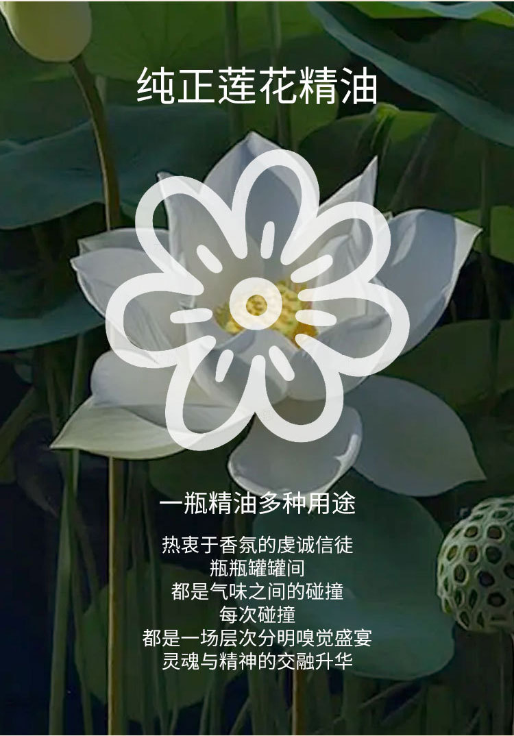 Lotus Lotus unilateral essential oil cross-border wholesale refrigeration soap perfume vehicle mounted aromatherapy 10ml sample