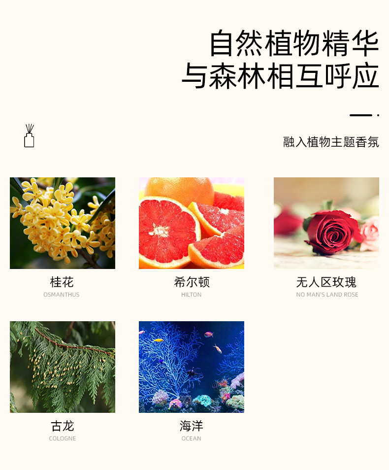 Ins Creative Decoration Aromatherapy Wax Sheet Bedroom Wardrobe Odor Removal Fragrant Gypsum Solid Fire Free Toilet Aromatherapy Sheet